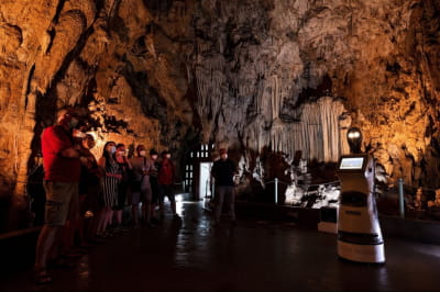 Робот-гид "персефона"