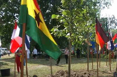 Подарунок від дипломатів