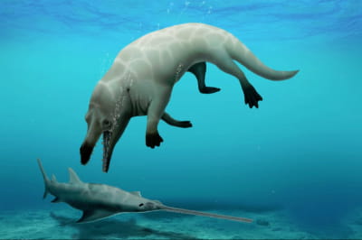 Чотирилапий кит