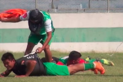 Пчелы атаковали футболистов во время матча в Боливии 