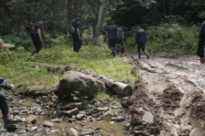 У лісі на Буковині знайшли мертвим зниколого чоловіка