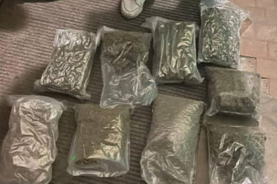 В Киеве задержали мужчину с 9 пакетами каннабиса