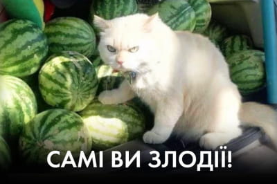 "Час Ч"