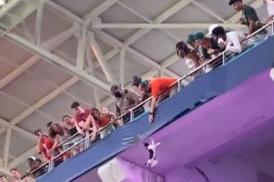 Кіт, який зірвався з трибуни