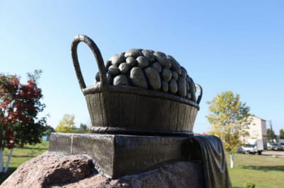 В Білорусі урочисто відкрили пам'ятник картоплі