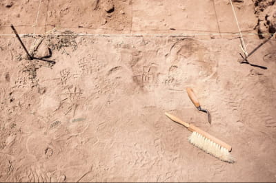 Археологические орудия возле места раскопок