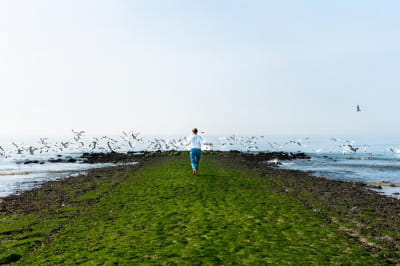 Морской берег