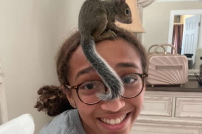 Спасенные бельчата во время урагана 