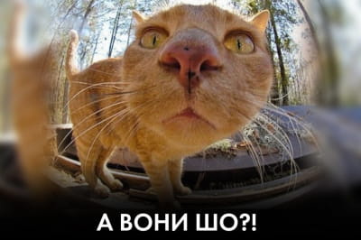 "Час Ч"