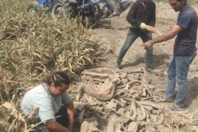 Археологічні розкопки у місті Кахраманмараш