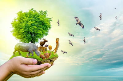 Світ тварин