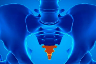 Хвіст у людини