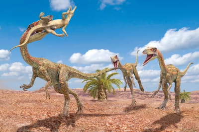 Динозаври Coelophysis