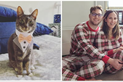 Лось і його господарі