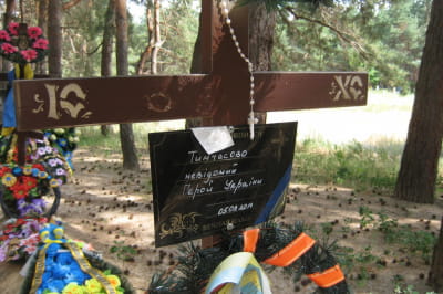 Могила на кладовищі під Старобільськом