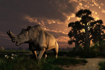 3D-рендерінг Megacerops coloradensis (доісторичний носоріг, також відомий як бронтотерій), який жив під час еоцену