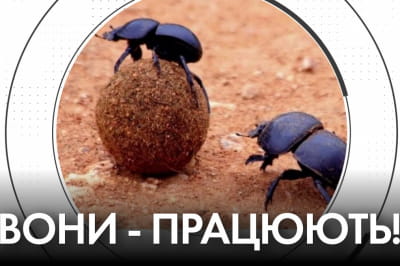 "Час Ч"
