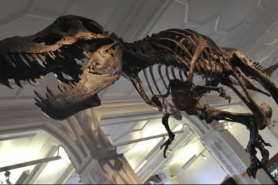 Динозавр "Великий Джон"