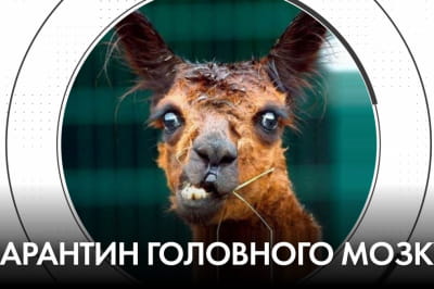 "Час Ч"