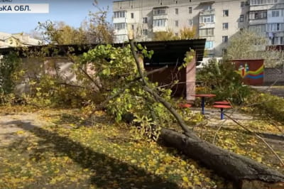 Упало дерево в детсаду