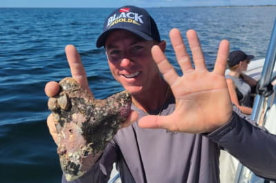 Зуб мегалодона