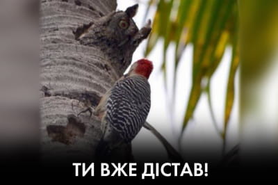"Час Ч"