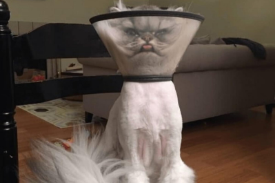 Дуже невдалий день