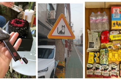 Південна Корея