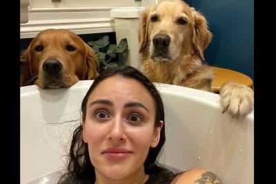 Урсула Эйтчисон и ее лабрадоры