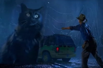 Кішка Ліззі у "Парку Юрського періоду" 