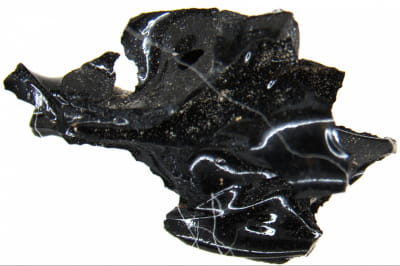 Дослідження мозку римлянина, який загинув під час виверження Везувію 