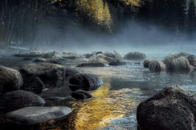 Дива природи у реальність яких важко повірити