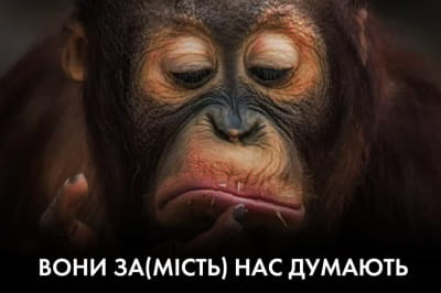 "Час Ч"