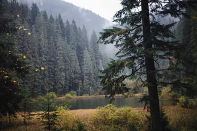 Фотографии Украины