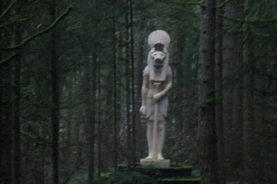 10 знахідок, які виявили люди під час прогулянки по лісу