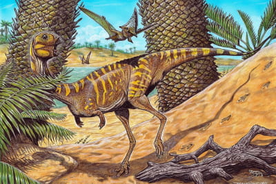 Berthasaura leopoldinae