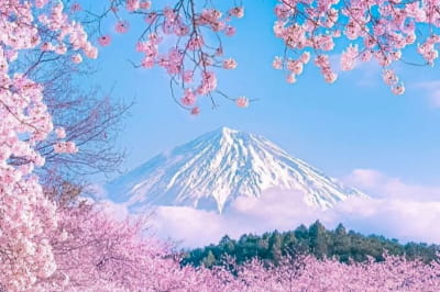 Удивительные явления нашего мира и его обитателей