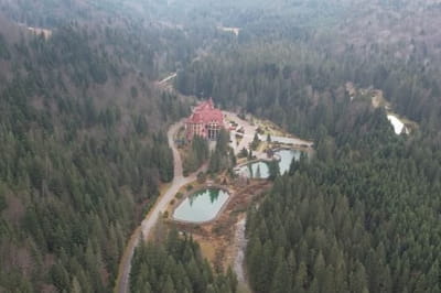 "Синегора"