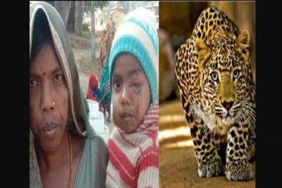 Женщина вырвала своего сына из лап леопарда
