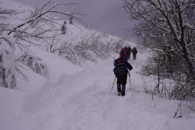 Пошук туриста