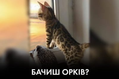 "Час Ч" – как встречать орков