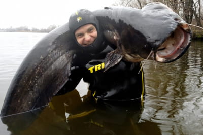 Впольований сом в Днепре 