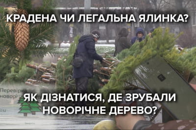 Елочки