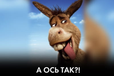 "Час Ч" – судний день для САП