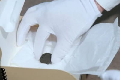 У Грузії знайшли унікальну монету часів царя Давіда