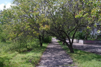 Козачинский парк