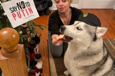 Акция "Скажи Путину нет"