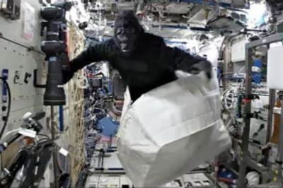 Горилла в космосе