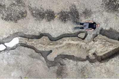 Скелет десятиметрового ихтиозавра