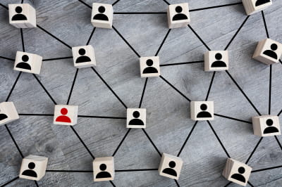 родина, зв'язок, сім'я